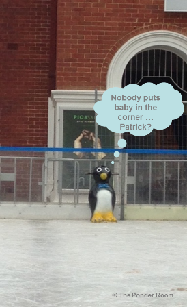 Secret life of rink penguins © The Ponder Room