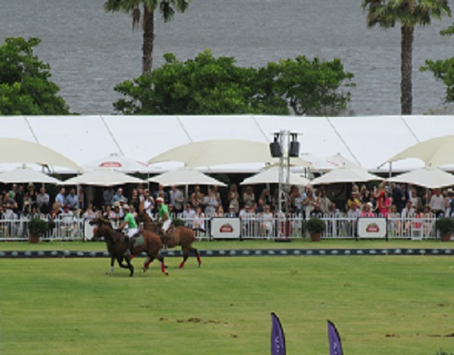 Polo In The City Perth © The Ponder Room