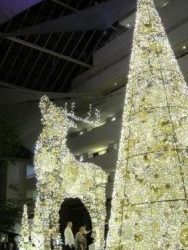 Magical Reindeer Appendages (Burswood Casino Christmas display)