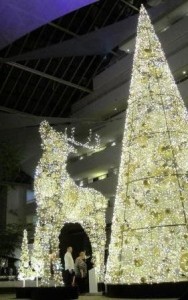 Burswood Xmas Deer 1 188x300.jpg