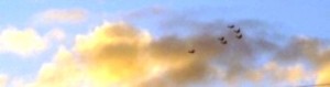 Copy Of 6 Planes 300x79.jpg