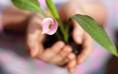 Tips on how to overcome grief or loss #1