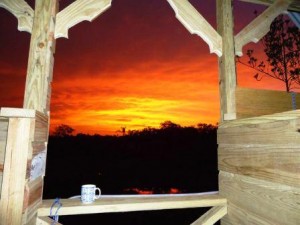 Interested in house sitting a Caribbean Island? (Reasons not to jump #2)