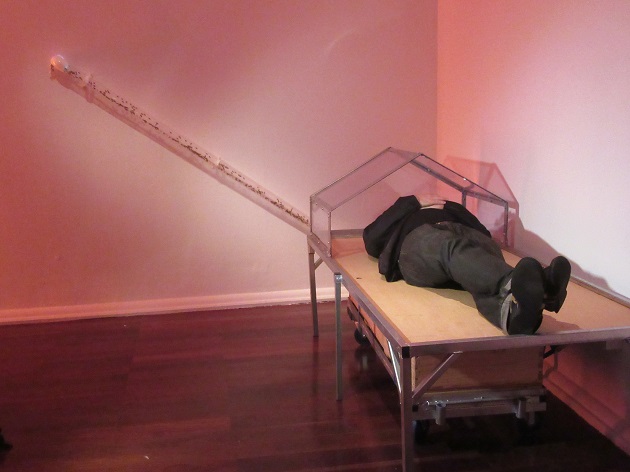 50,000 bees enter Art Gallery: PICA Radical Ecologies