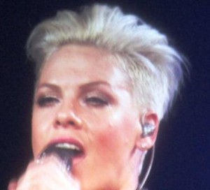 Pink Truth About Love Tour Perth 4 300x272.jpg