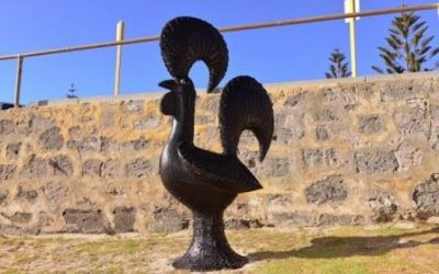 Beachgoers unite to eradicate scourge (Sculpture by the Sea 2014)