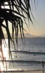 You know you’re in Byron Bay when…..(part 1)