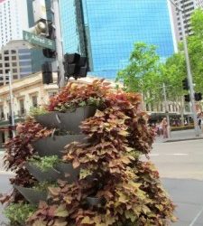 How to add greenery to city centres and help improve mental health