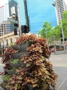 Adding Greenery To City 225x300.jpg
