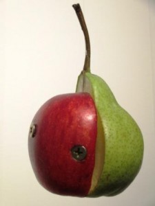 Apple Pear 225×300.jpg Apple Pear 225x300.jpg