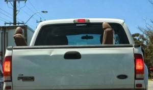 Back Seat Driver 300×178.jpg Back Seat Driver 300x178.jpg