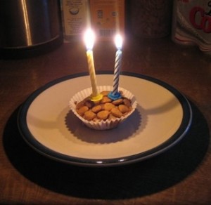 Birthday Cake Muteboy 300x292.jpg