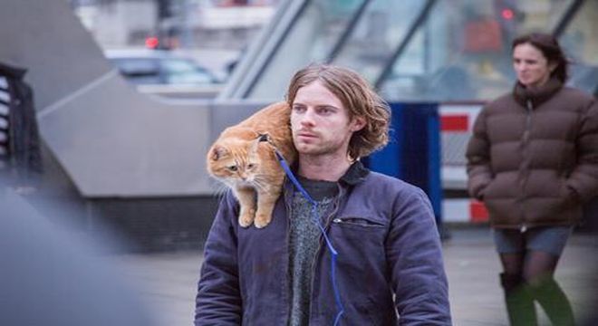 Movie Review: A Gift From Bob