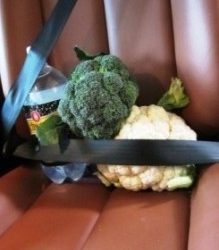 What constitutes a child? (Motoring)