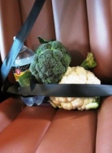 Car Seat 1 219x300.jpg