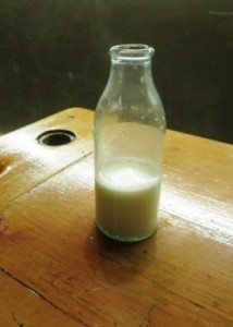 Classroom Milk 2 214×300.jpg Classroom Milk 2 214x300.jpg