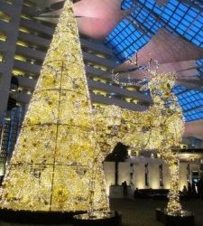 How many elves does it take to put up a Christmas tree? (Job Satisfaction #11)