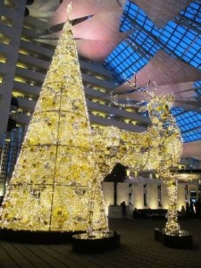 Crown Xmas Tree Finished Lights 225×300.jpg Crown Xmas Tree Finished Lights 225x300.jpg
