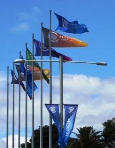 Flags Flying 233×300.jpg Flags Flying 233x300.jpg