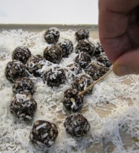 Melb Wellness Expo Vgan Fruit Balls 272x300.jpg