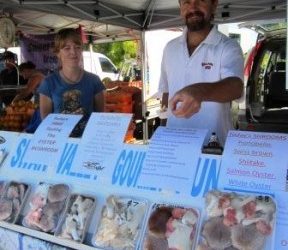 Consumers get fresh (Stirling Farmers Market #1)