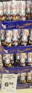 Working Bunny 105x300.jpg